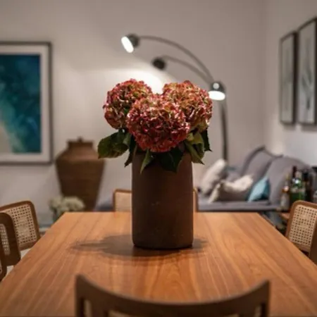 Apartment Saffron By Tangerine